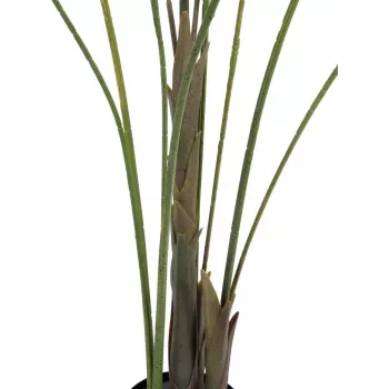 EUROPALMS Großblatt-Areca mākslīgā Areca palma, 185cm (82509442)