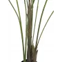EUROPALMS Großblatt-Areca mākslīgā Areca palma, 185cm (82509442)