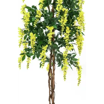 EUROPALMS mākslīgais zelta lietus koks, dzeltens, 180cm 82507116