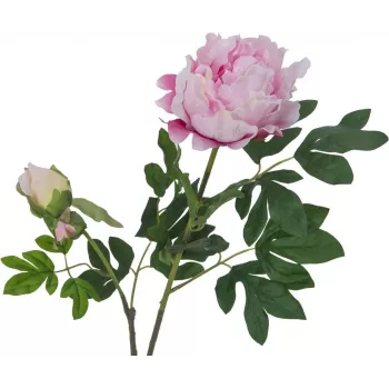 EUROPALMS Premium Peony Branch mākslīgais augs, rozā, 100cm 82530220