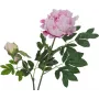 EUROPALMS Premium Peony Branch mākslīgais augs, rozā, 100cm 82530220