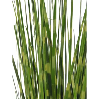 EUROPALMS Zebra Grass, mākslīgā zāle, 90cm 82505863