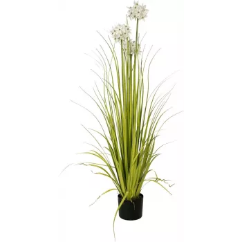 EUROPALMS Allium Grass mākslīgais augs, balts, 120 cm 82600169