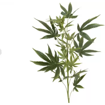 EUROPALMS mākslīgais kaņepju zars, 90cm, zaļš 82506699