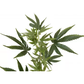 EUROPALMS mākslīgais kaņepju zars, 90cm, zaļš 82506699