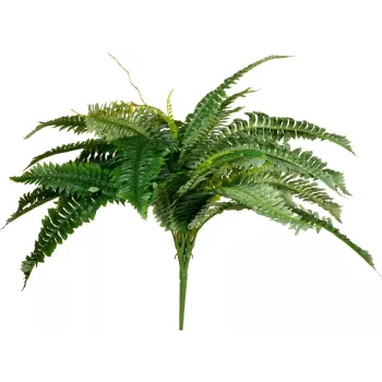EUROPALMS Boston Fern mākslīgais augs, 53cm, zaļš 82519934