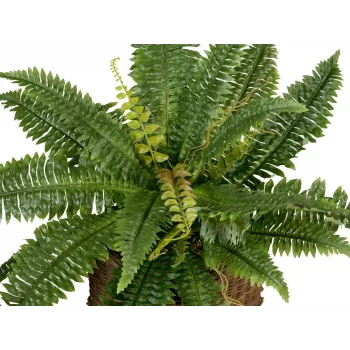 EUROPALMS Boston Fern mākslīgais augs, 53cm, zaļš 82519934