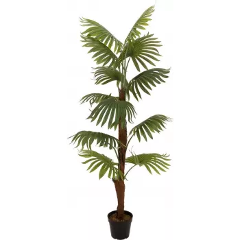 EUROPALMS mākslīgā vēdekļpalma, 155cm 82509303