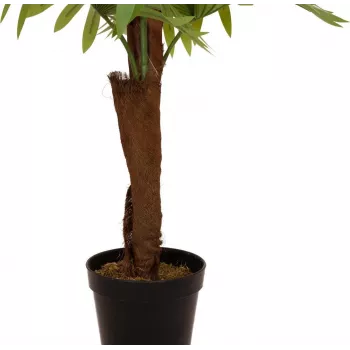 EUROPALMS mākslīgā vēdekļpalma, 155cm 82509303