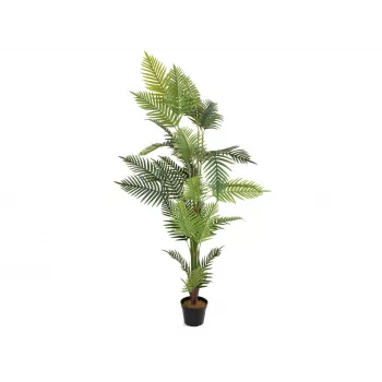 EUROPALMS Areca Palm mākslīgais augs 180 cm 82509415