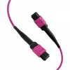 EFB MTP-F/MTP-F 36 šķiedru matricas patch kabelis OM4, LSZH Erika Violet, Type A, 30m MTPF36MTPFOM4-30-A