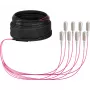 EFB Elektronik maģistrālais optiskais kabelis U-DQ ZN BH OM4 8G 1x8 SC-SC 30m Dca LSZH O8321S30OM4