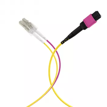 MPO-PLUS (F) uz LC maģistrālais kabelis OM4 12 šķiedras Type B LSZH Erika violeta 2m MPOF12LCOM4-2