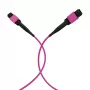 EFB Elektronik MPO-PLUS(F)-MPO-PLUS(F) OM4 12 šķiedru Type B LSZH savienojuma kabelis, Erika-violet, 20 m MPOF12MPOFOM4-20