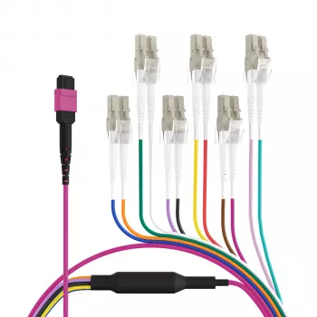 EFB Elektronik MPO-PLUS (F) uz LC trunk kabelis, OM4, 12 šķiedras, Type B, LSZH, Erika Violet, 1m MPOF12LCOM4-1