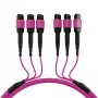 EFB Elektronik MTP-F/MTP-F 48 šķiedru matricas savienojuma kabelis OM4, LSZH Erika Violet, Code A, 25m MTPF48MTPFOM4-25-A