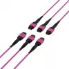 EFB Elektronik MTP-F/MTP-F 48 šķiedru matricas savienojuma kabelis OM4, LSZH Erika Violet, Code A, 25m MTPF48MTPFOM4-25-A