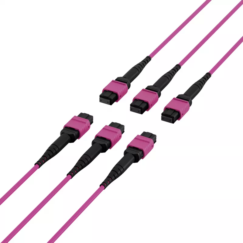 EFB Elektronik MTP-F/MTP-F 48 šķiedru matricas savienojuma kabelis OM4, LSZH Erika Violet, Code A, 25m MTPF48MTPFOM4-25-A