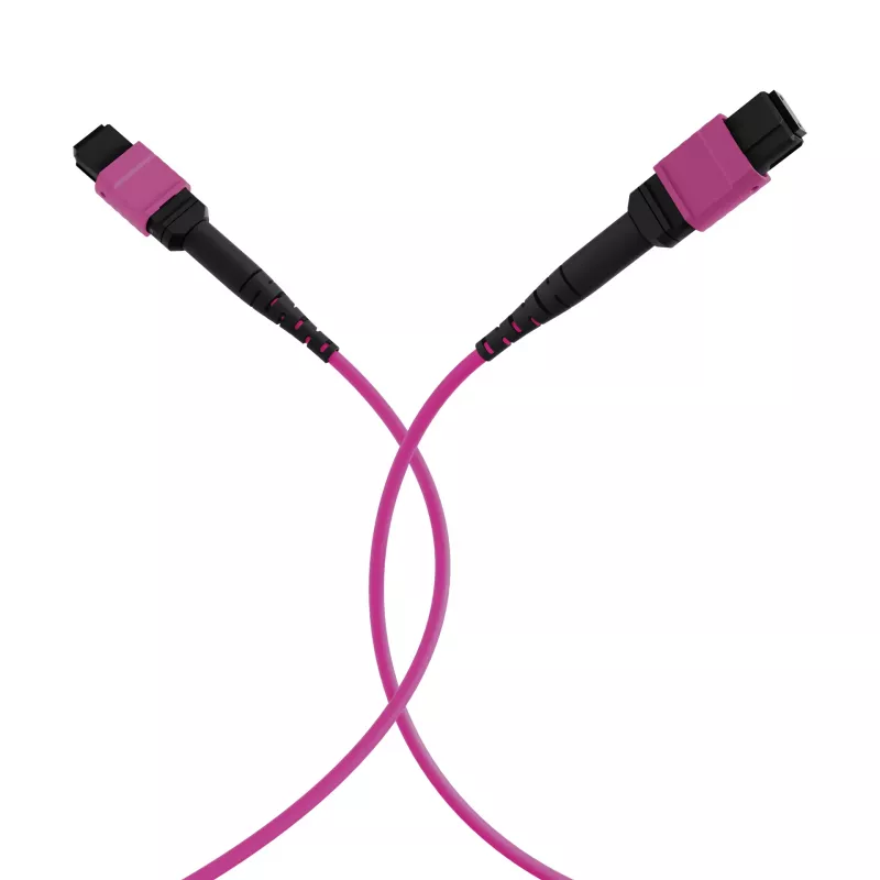 EFB Elektronik MTP-F/MTP-F 48 šķiedru matricas savienojuma kabelis OM4, LSZH Erika Violet, Code A, 25m MTPF48MTPFOM4-25-A