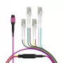 EFB Elektronik MPO-PLUS(F)-LC trunkvads OM4 8 šķiedras Type B LSZH Heather Violet 2m MPOF08LCOM4-2
