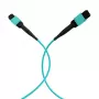 EFB Elektronik MPO-PLUS Female to MPO-PLUS Female OM3 Multimode Fiber Patch Cable, 12 Fibers, Type B Polarity, LSZH Aqua Jacket, 1 m MPOF12MPOFOM3-1