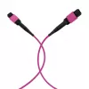 EFB Elektronik MPO-PLUS(F)-MPO-PLUS(F) savienojuma kabelis OM4 8 šķiedras Type B LSZH Erika-violet 5m MPOF8MPOFOM4-5