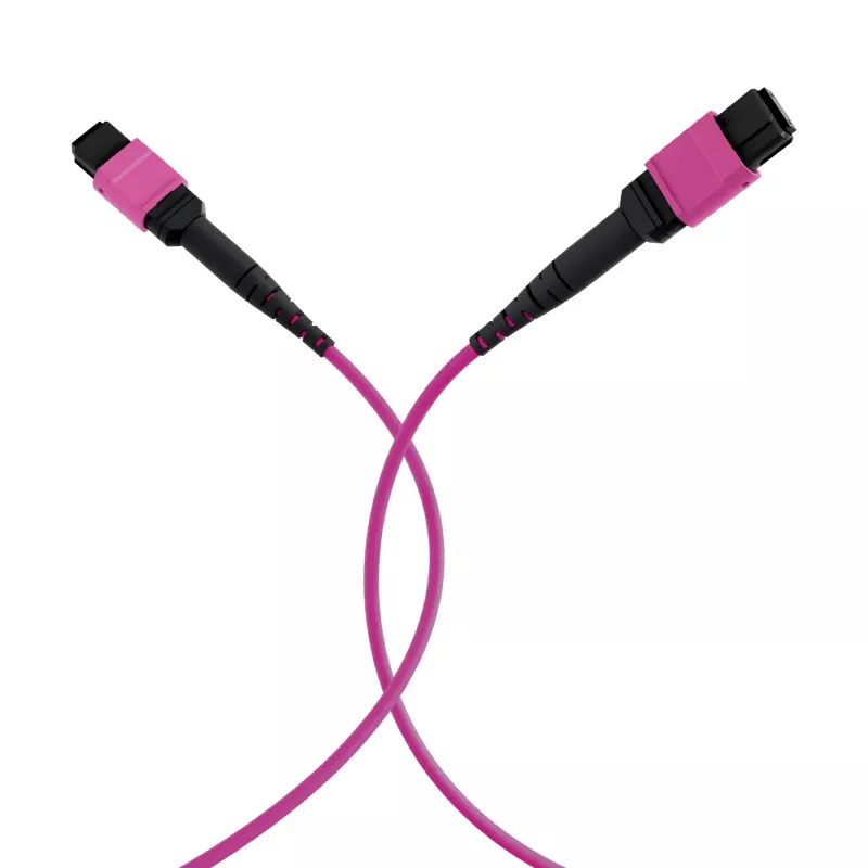 EFB Elektronik MPO-PLUS(F)-MPO-PLUS(F) savienojuma kabelis OM4 8 šķiedras Type B LSZH Erika-violet 5m MPOF8MPOFOM4-5