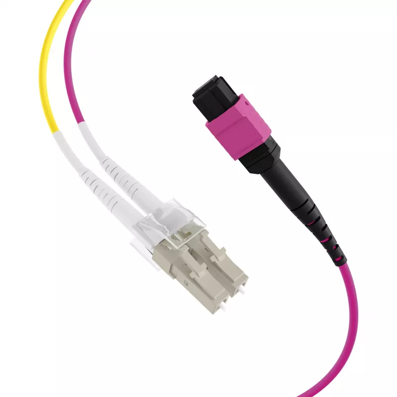 EFB Elektronik MPOF12LCOM4-5 MPO-PLUS (F) uz LC Duplex maģistrālais kabelis, OM4, 12 šķiedras, Type B, LSZH, Erika Violet, 5 m