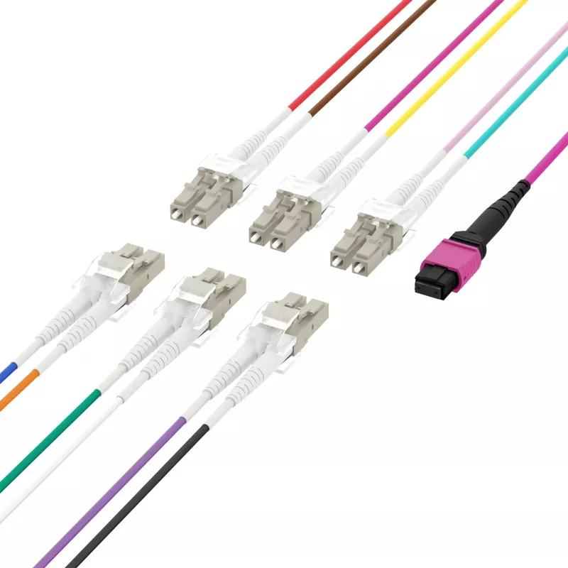 EFB Elektronik MPOF12LCOM4-5 MPO-PLUS (F) uz LC Duplex maģistrālais kabelis, OM4, 12 šķiedras, Type B, LSZH, Erika Violet, 5 m