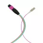 EFB Elektronik MPO-PLUS (M)-LC Fanout kabelis OM4 12 šķiedras Type B LSZH Erika-Violet 1m MPOM12LCOM4-1