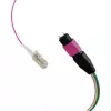 EFB Elektronik MPO-PLUS (M)-LC Fanout kabelis OM4 12 šķiedras Type B LSZH Erika-Violet 1m MPOM12LCOM4-1