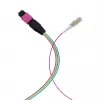 EFB Elektronik MPO-PLUS (M)-LC Fanout kabelis OM4 12 šķiedras Type B LSZH Erika-Violet 1m MPOM12LCOM4-1