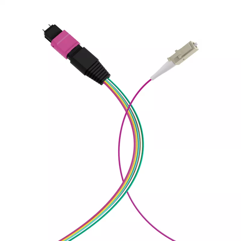 EFB Elektronik MPO-PLUS (M)-LC Fanout kabelis OM4 12 šķiedras Type B LSZH Erika-Violet 1m MPOM12LCOM4-1