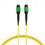 EFB Elektronik MPOF8MPOFOS2-3 MPO-PLUS APC Female to MPO-PLUS APC Female OS2 Singlemode 8-Fiber Type B LSZH Yellow komutācijas kabelis, 3 m