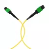 EFB Elektronik MPOF8MPOFOS2-3 MPO-PLUS APC Female to MPO-PLUS APC Female OS2 Singlemode 8-Fiber Type B LSZH Yellow komutācijas kabelis, 3 m