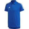 adidas Condivo 20 vīriešu polo krekls Team Royal Blue/White ED9237, izmērs S