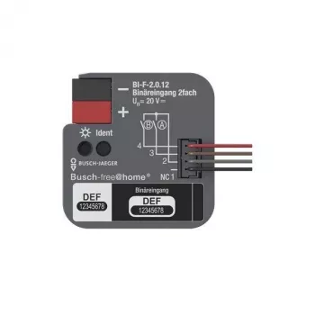 BUSCH-JAEGER KNX binārais ieeja 2-kanālu iegremdējamā BI-F-2.0.12 (2CDG510023R0021)