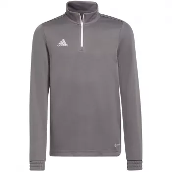 adidas Entrada 22 treniņu tops bērniem, pelēks, 116 cm H57549