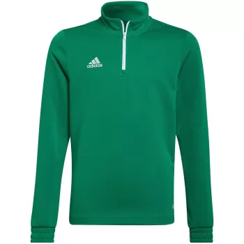 adidas Entrada 22 treniņu tops bērniem, zaļš, HI2132, 152cm