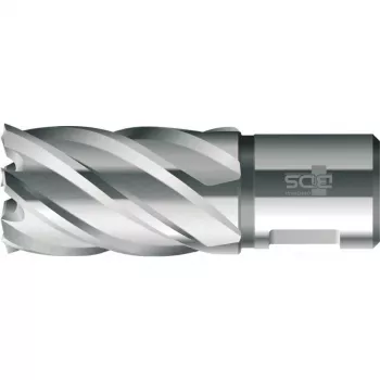 BDS HSS Standard 22,0 mm gredzenveida frēzgalva ar Weldon kātu, 30 mm griešanas dziļums (KBK-022)
