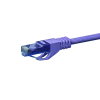 DSIT UTP CAT6a 0,25m purpura savienojuma kabelis - 100% varš (DC-U6A8-002)