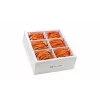 Wirewin SLIM-LS-K6A 2.0 OR 60 Cat.6A U/FTP slaidais Ethernet tīkla kabelis, 2m, oranžs, 60 gab.