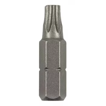 Bosch Torx uzgalis T 8 C 6.3, 2 gab. (2609255931)