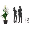 PAPERFLOW PALYS65 mākslīga lilijas ziedu plantācija, 650 mm, poliestera Real Touch