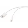 Renkforce USB 2.0 USB-A uz Apple Lightning kabelis 1m balts matēts RF-5724084