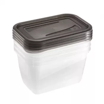 keeeper fredo fresh pārtikas uzglabāšanas trauku komplekts, 4 x 0,75 L, taisnstūra formas, caurspīdīgi ar pelēkiem vākiem 3067382700000