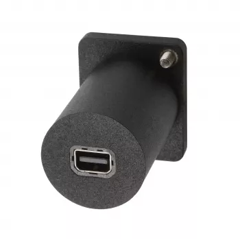 EXSYS EX-49170 DisplayPort uz Mini DisplayPort sieviešu panel montāžas adapteris, 4K UHD