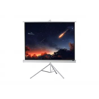 celexon Economy projektora ekrāns uz statīva 133 x 133 cm White Edition