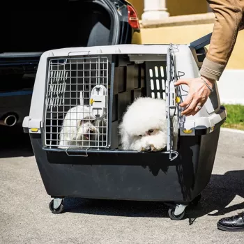 STEFANPLAST iekšējā sadalošā panelis Gulliver Touring transporta būrim, melna