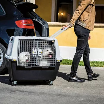 STEFANPLAST Gulliver Touring transporta būris, 80x58.5x62 cm, tumši pelēks/gaiši pelēks